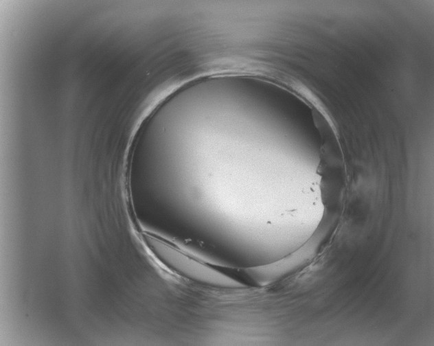 X0000067891485200604131315