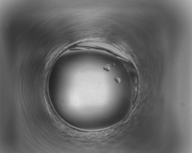 X0000067890001200604171349