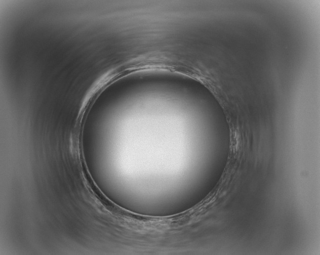 X0000067890004200604171349