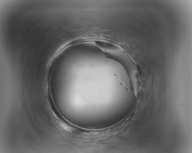 X0000067890005200604171349