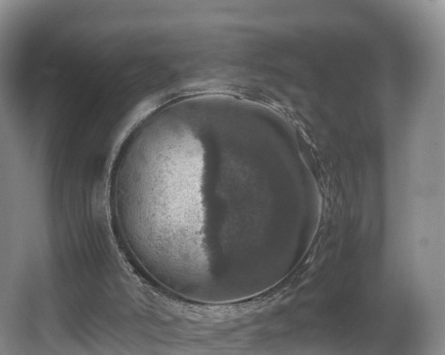 X0000067890006200604171349