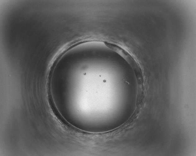 X0000067890007200604171349