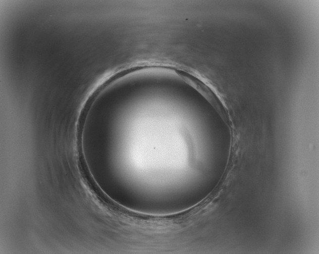 X0000067890008200604171349