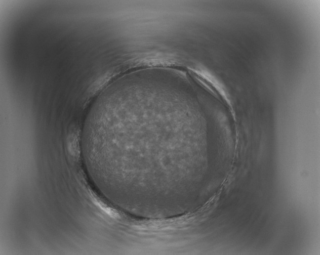 X0000067890009200604171349