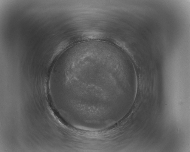 X0000067890010200604171349