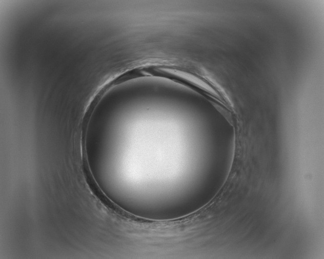 X0000067890011200604171349