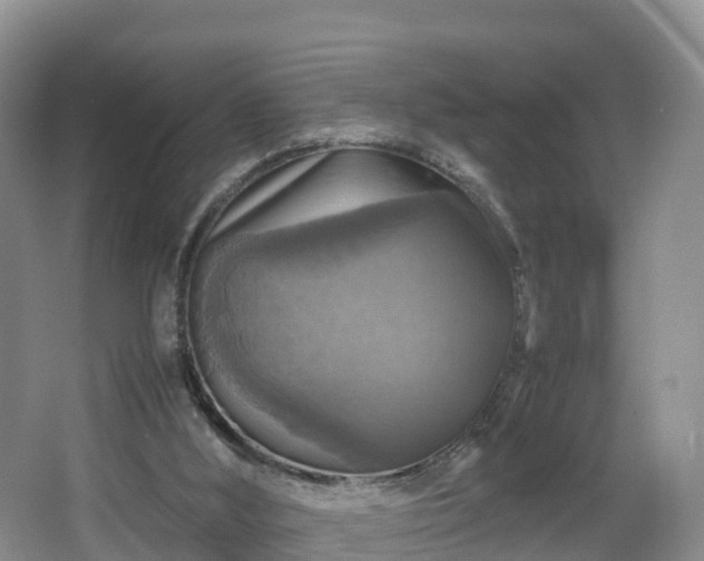 X0000067890012200604171349