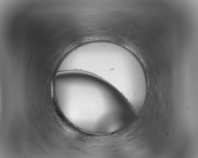 X0000067890013200604171349