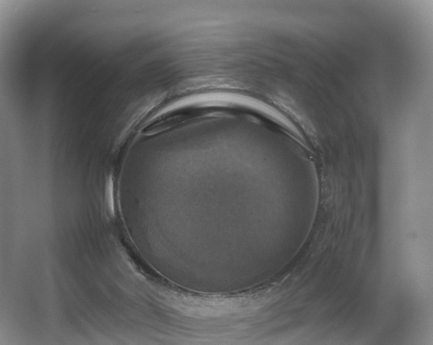 X0000067890014200604171349