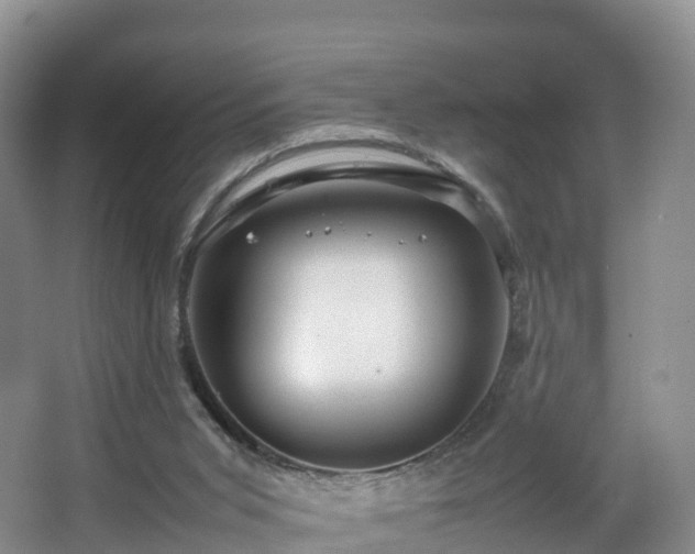 X0000067890015200604171349