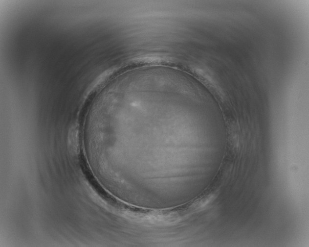 X0000067890016200604171349