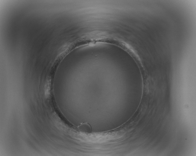 X0000067890018200604171349