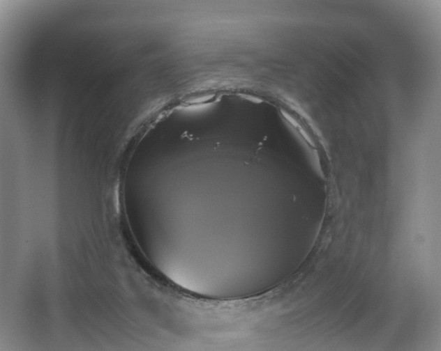 X0000067890019200604171349