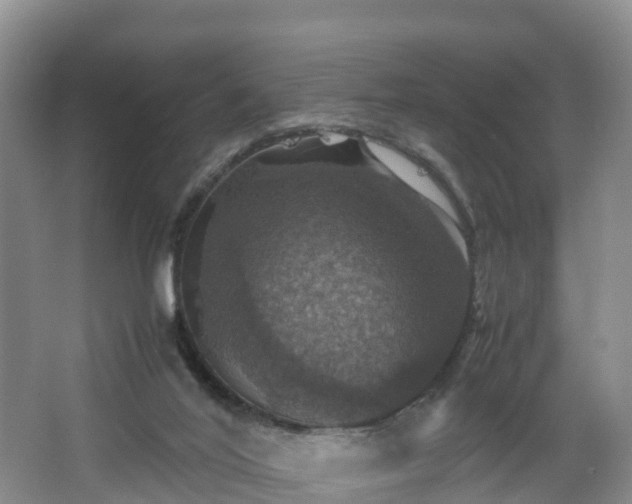 X0000067890020200604171349