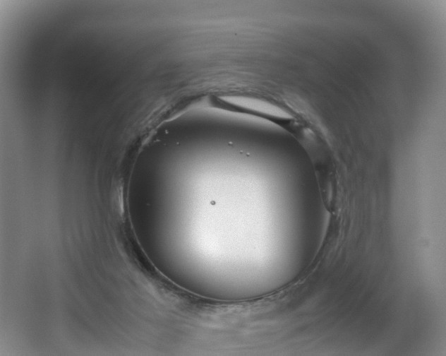 X0000067890021200604171349