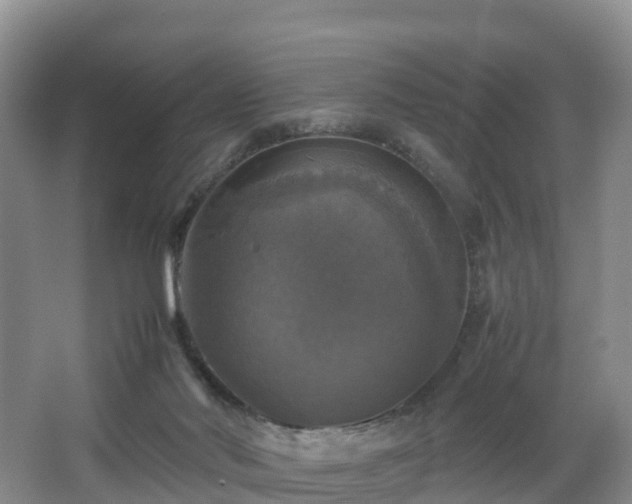 X0000067890022200604171349