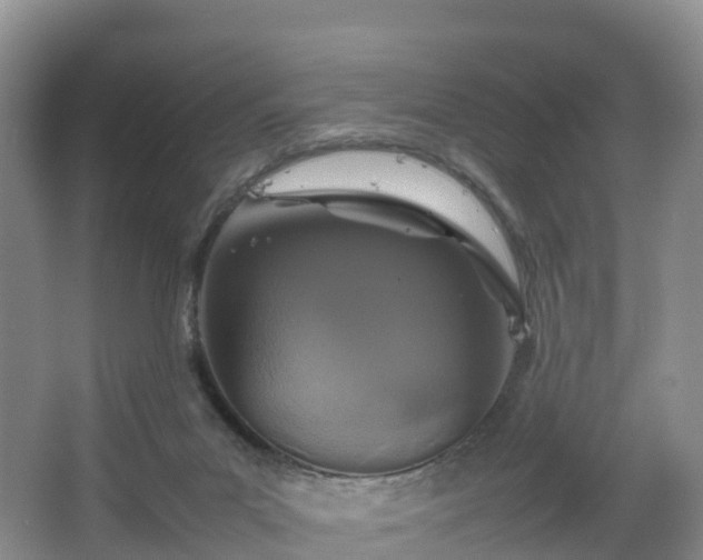 X0000067890023200604171349