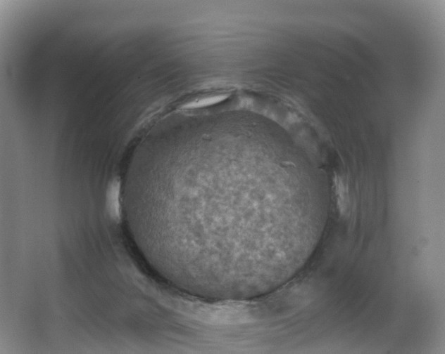 X0000067890024200604171349