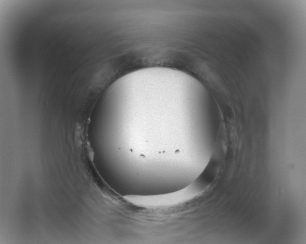 X0000067890025200604171349