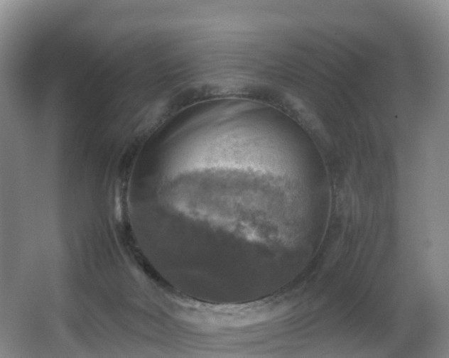 X0000067890026200604171349