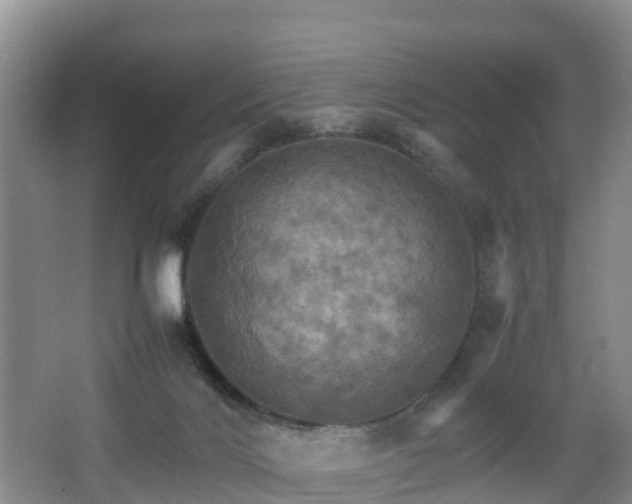 X0000067890028200604171349