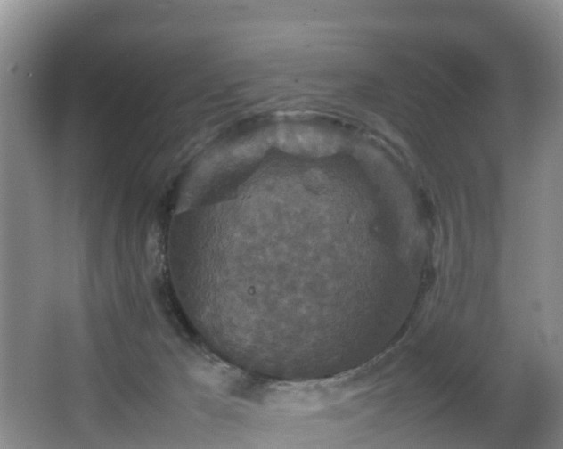 X0000067890029200604171348