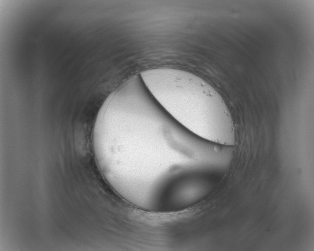 X0000067890030200604171348