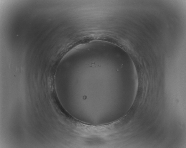 X0000067890031200604171348