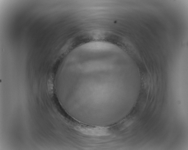 X0000067890032200604171348