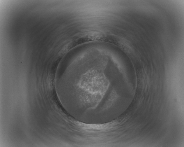 X0000067890034200604171348