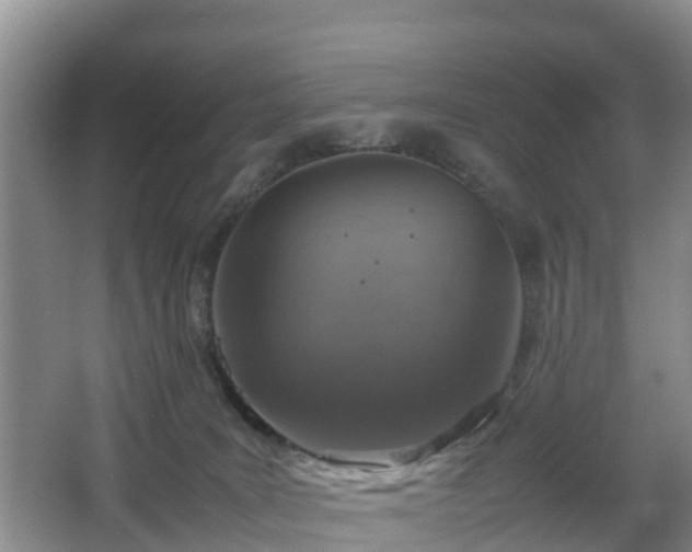 X0000067890035200604171348