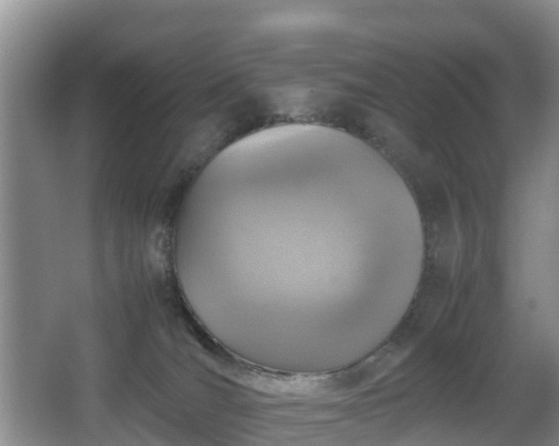 X0000067890036200604171348