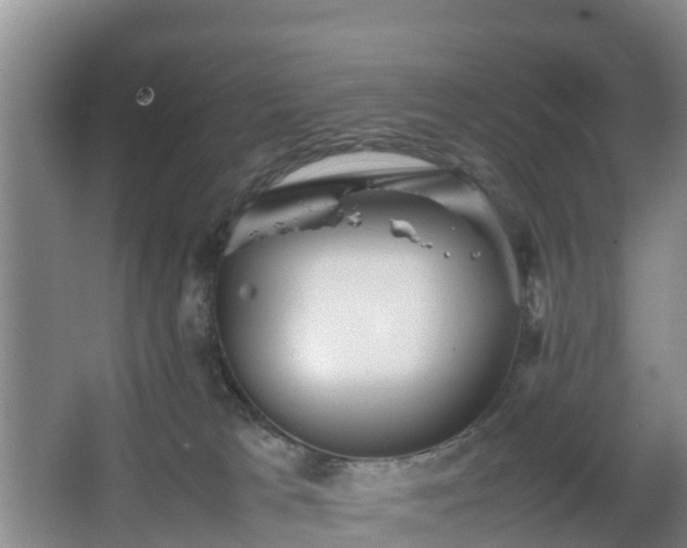 X0000067890037200604171348