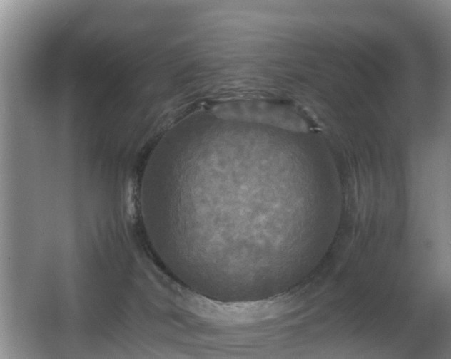 X0000067890038200604171348