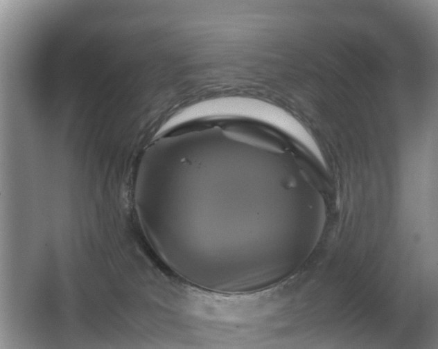 X0000067890039200604171348