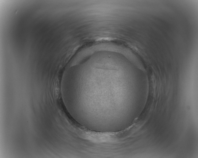 X0000067890040200604171348