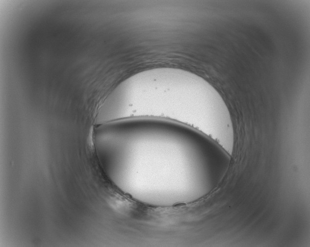 X0000067890041200604171348