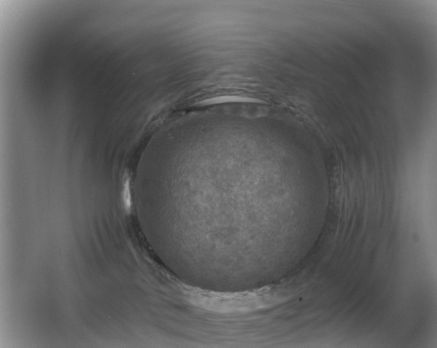 X0000067890042200604171348