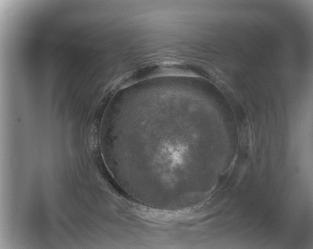 X0000067890043200604171348