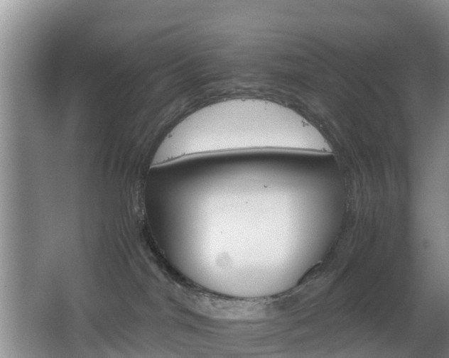 X0000067890044200604171348