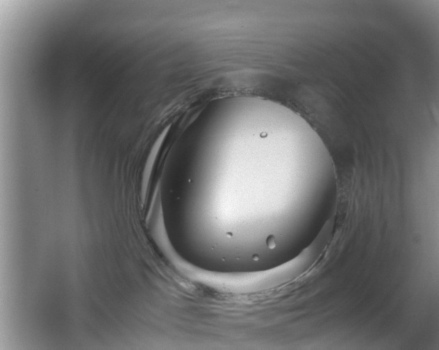 X0000067890045200604171348