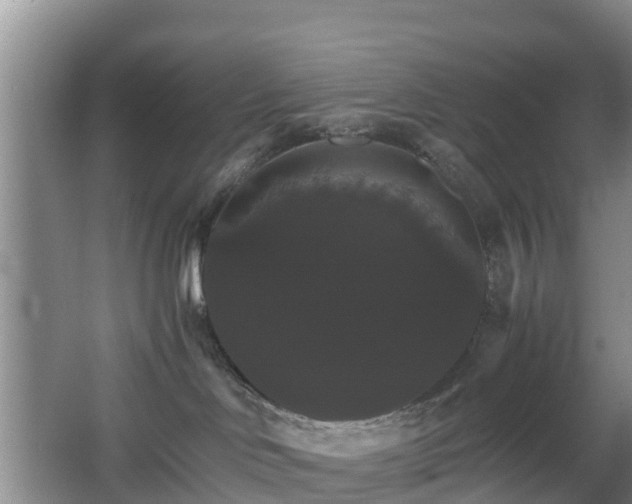 X0000067890046200604171348