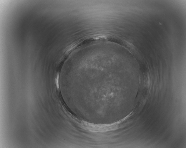 X0000067890047200604171348