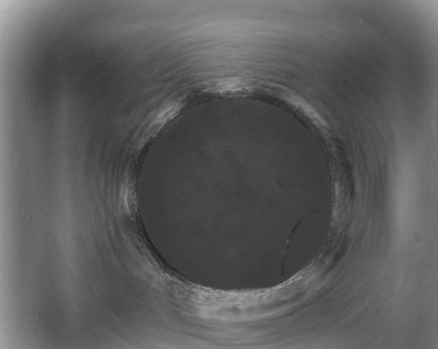 X0000067890048200604171348