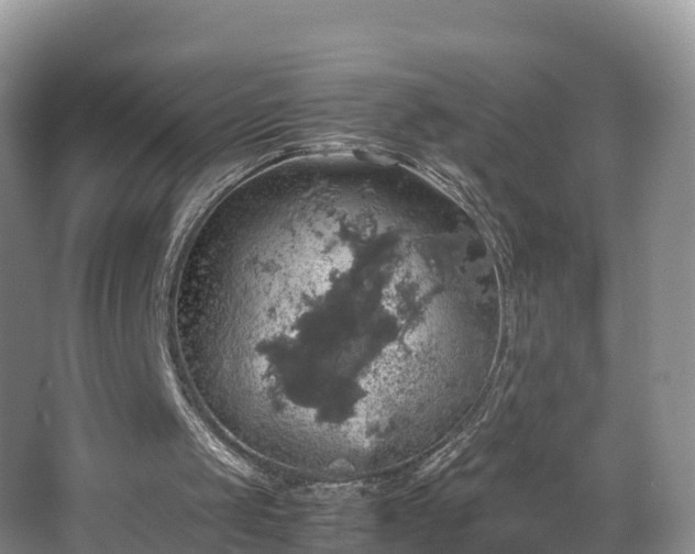 X0000067890049200604171347