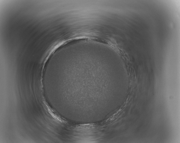 X0000067890050200604171347