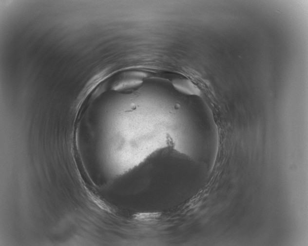 X0000067890051200604171347