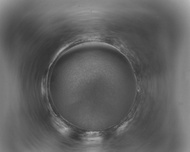 X0000067890052200604171347