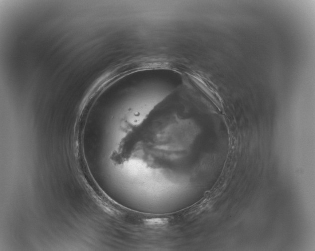 X0000067890053200604171347