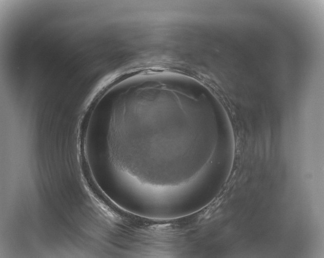 X0000067890054200604171347